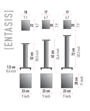 Entasis